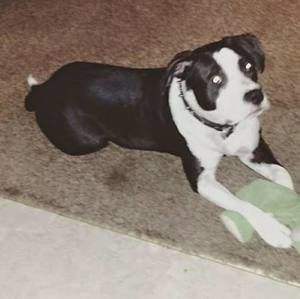 Meet your Posher, Ian